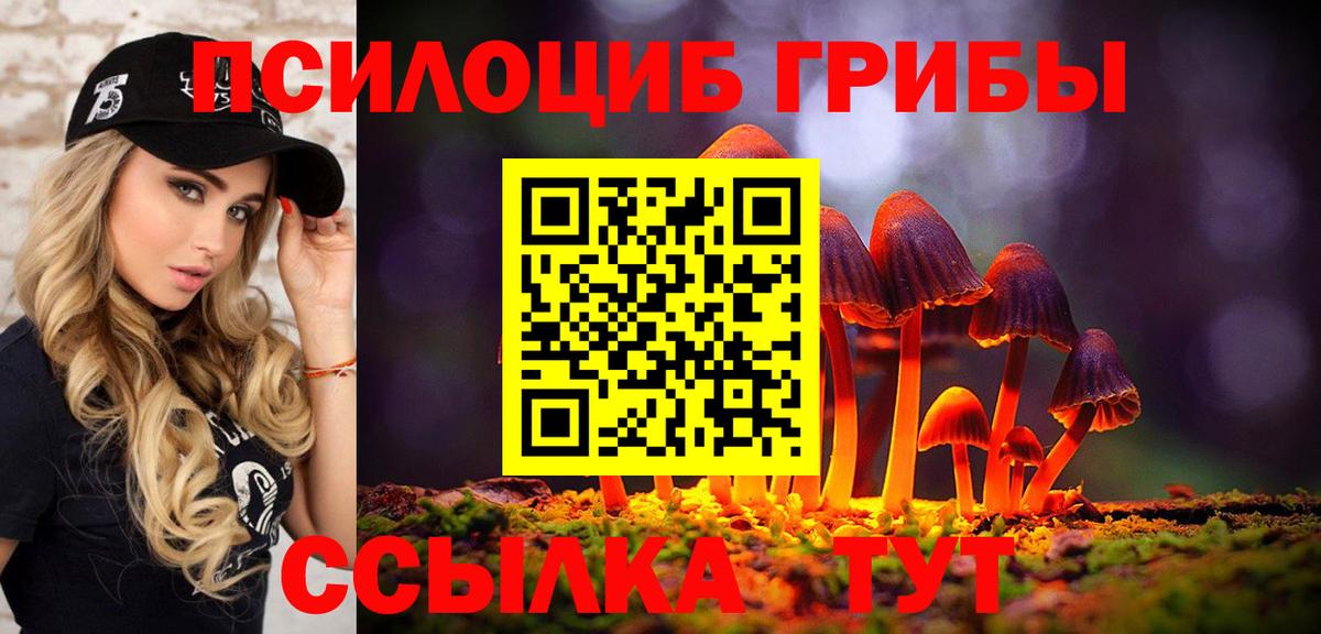 Псилоцибиновые грибы прущие грибы Красноармейск