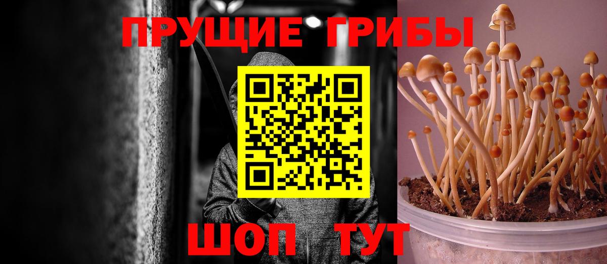 Красноармейск  Галлюциногенные грибы Magic Shrooms  Галлюциногенные грибы мицелий  Вход с VPN 